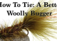 Tying Tuesday: Woolly Buggers, Blue-Wings, and Damsels